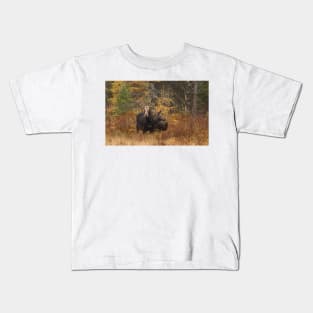 Moose - Algonquin Park, Canada Kids T-Shirt